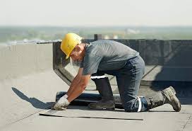 Best Storm Damage Roof Repair  in Swanton, OH